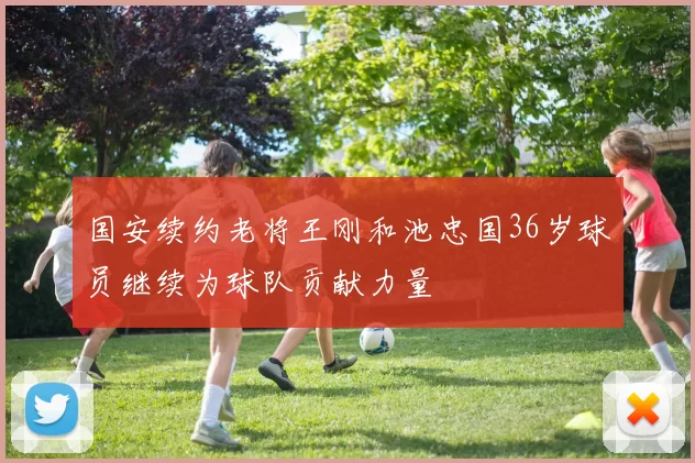 国安续约老将王刚和池忠国36岁球员继续为球队贡献力量
